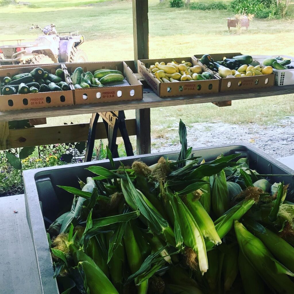 Corn and veggies ready in the market! 